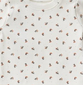 Immagine categoria di COSTINA STAMPATA