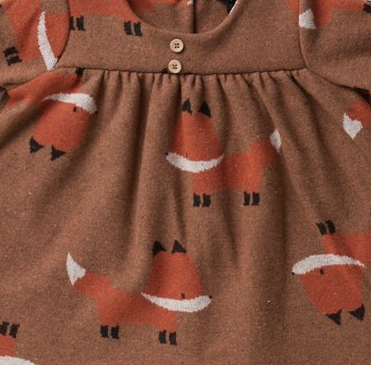 Immagine categoria di VOLPE